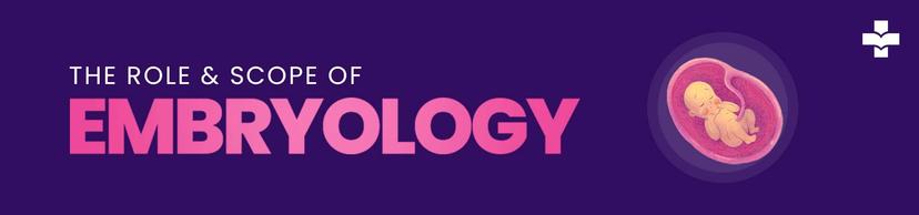 Explore the potential for career growth through Embryology Courses. Dive into the scope and abundant opportunities these courses offer for professional advancement in the field.