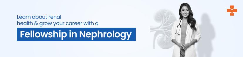nephrology fellowship after MBBS in India