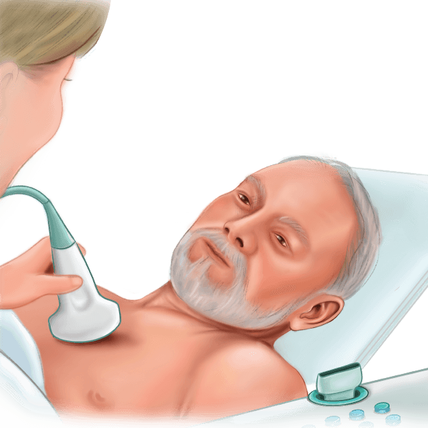 Fellowship in 2D Echocardiography