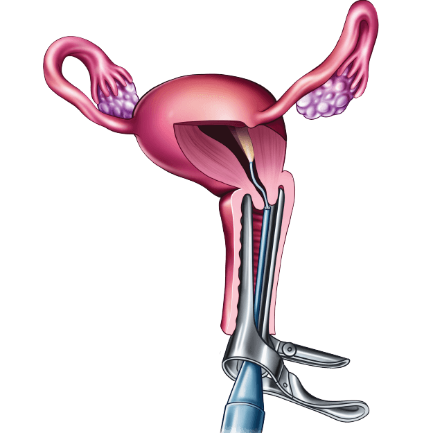 Fellowship in Gynecology and Obstetrics